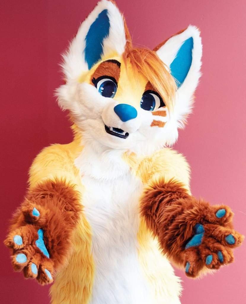 Фурсьют | Wiki | ♡Furry-Animals♡ Amino