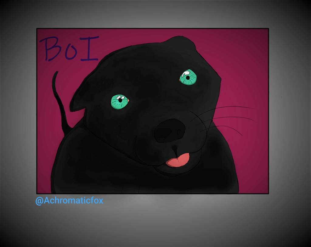 Boi | Wiki | Beginner Artist Amino