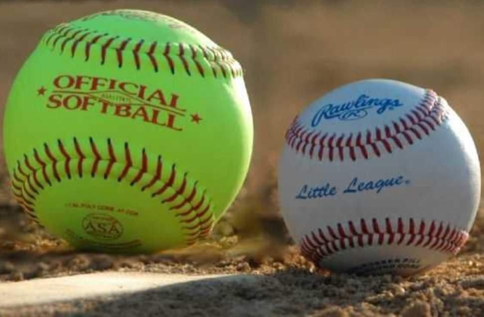 Difference between Baseball and Softball Nice Hit!! Amino