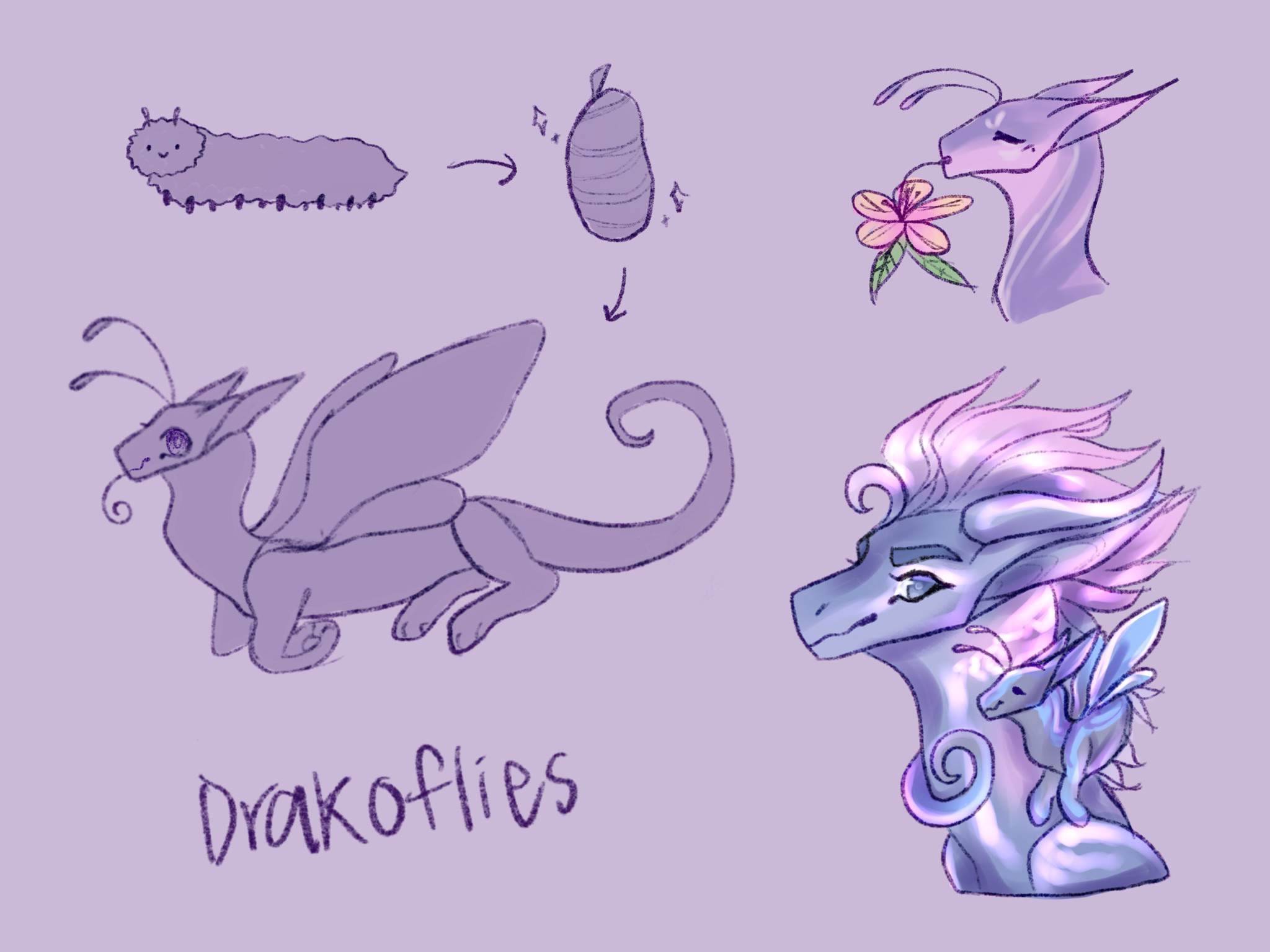 drakoflies | Wiki | Wings Of Fire Amino