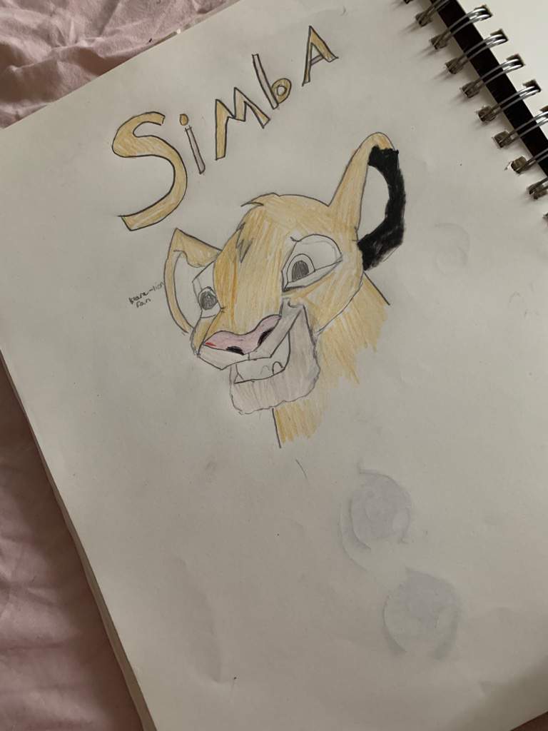 All Coloured 🦁the Lion King Amino🦁 Amino