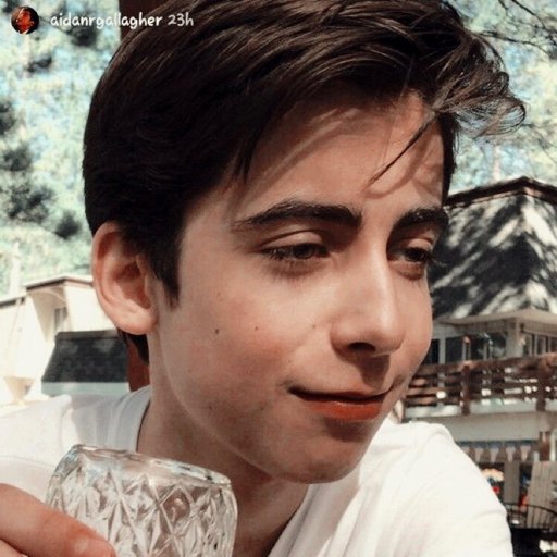 Aidan Gallagher Icons ˊ˗ Wiki Aidan Gallagher Amino Amino