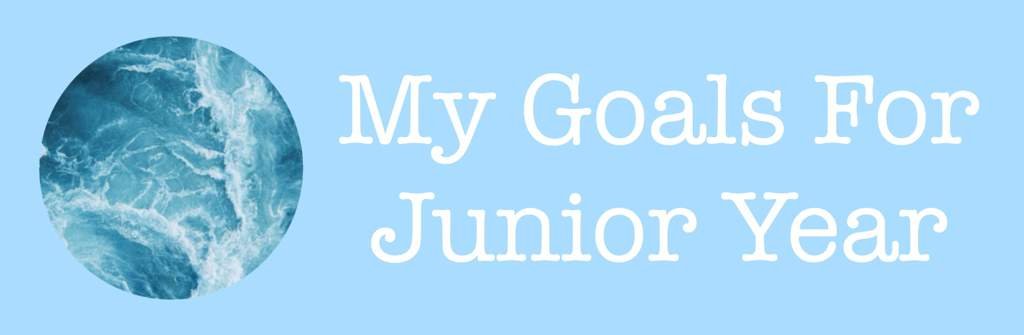 My Goals For Junior Year Studying Amino Amino