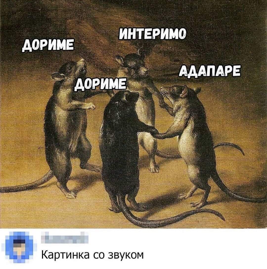 Картинка 4 крысы