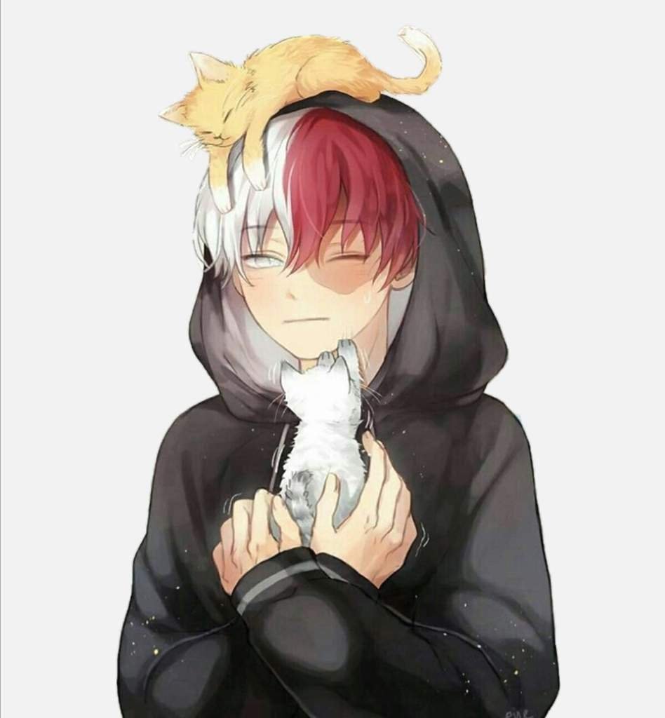 Why is Todoroki so cute? Wiki My Hero Academia Amino