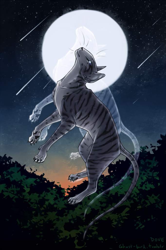 Jayfeather // Jay's Wing Warriors Amino
