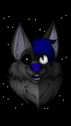 amino-gray the wolfy-d66f0fcb