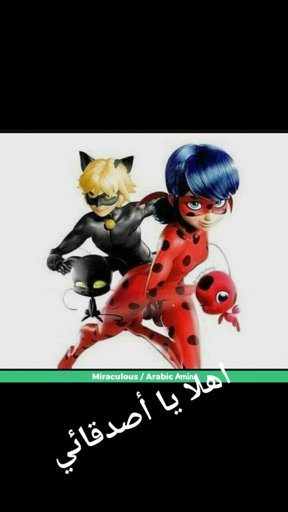 amino-🐞ميراكولوس🐈-3e3f8685