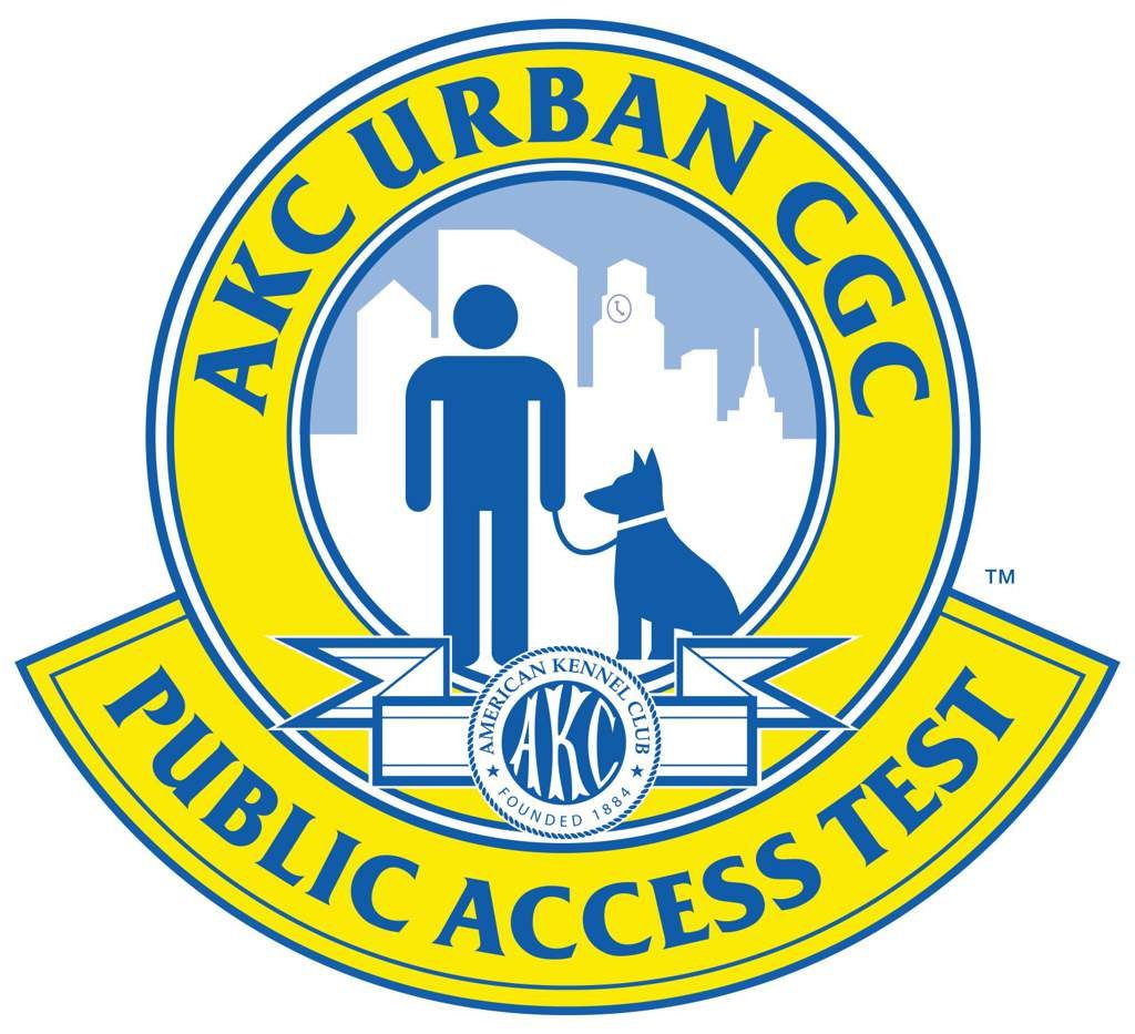 The Public Access Test Wiki Service Dogs Amino