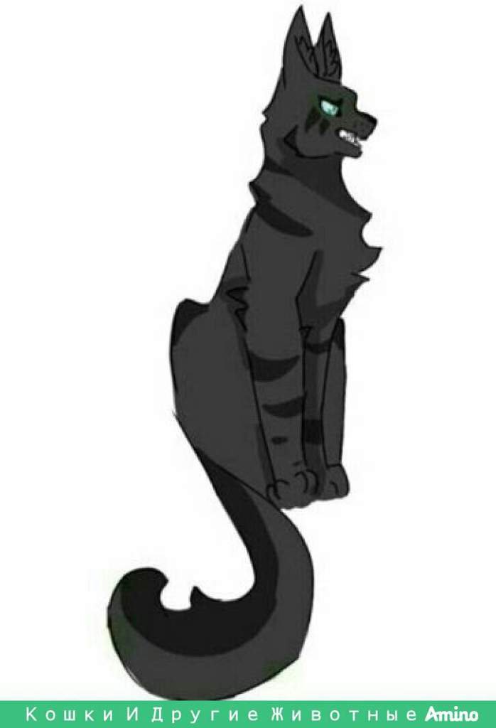 Падальщик | Wiki | ⓒⓐⓣ'ⓢ_ⓦⓐⓡⓡⓘⓞⓡⓢ Amino