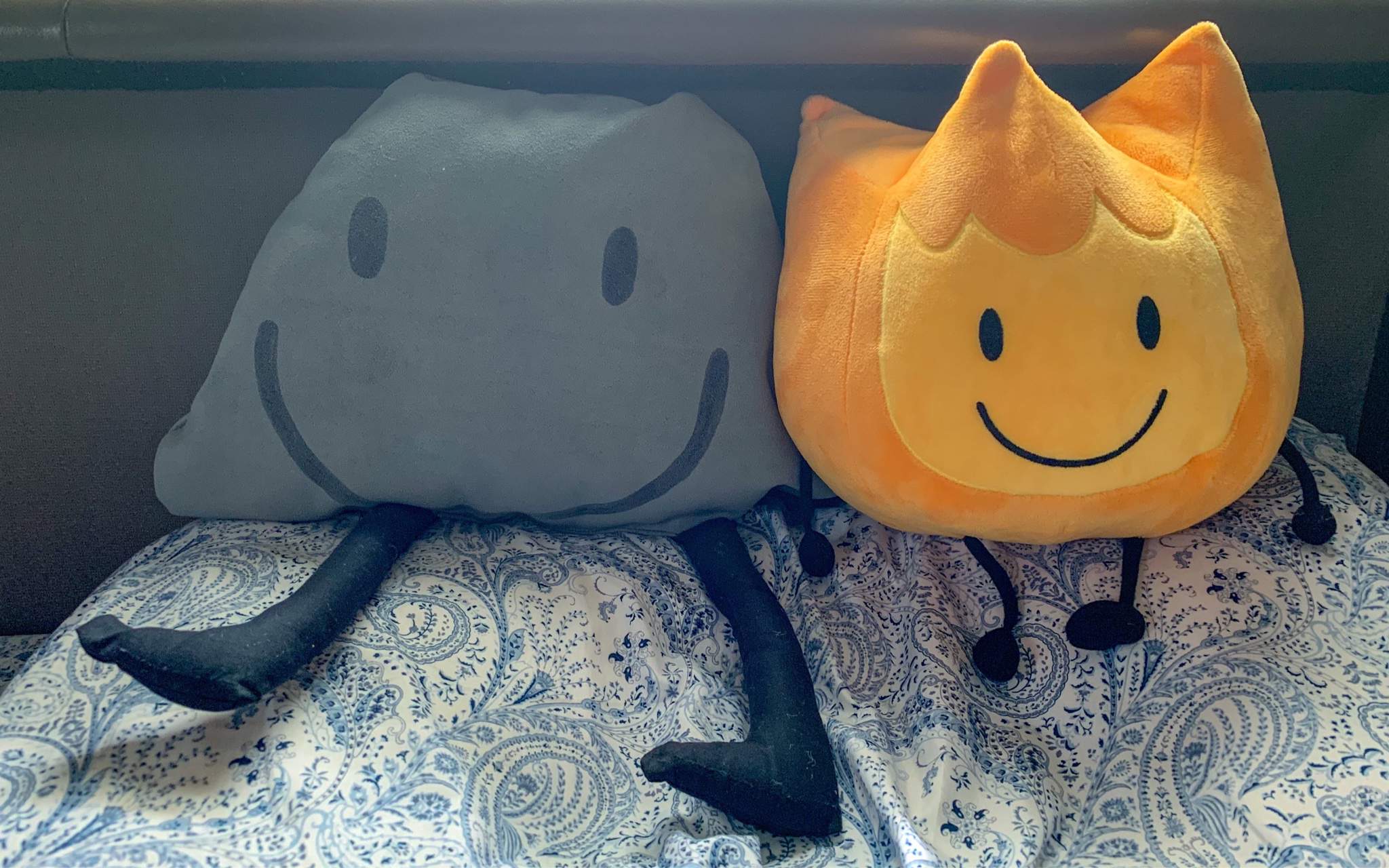 My BFDI Plushies! | BFDI💖 Amino