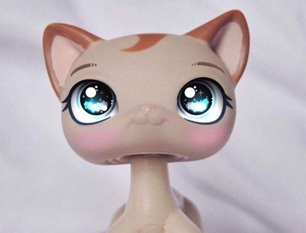 Мелисса Фортнес | Wiki | ♡~ЧуДеСнАя· ·СтРаНа· ·LPS~♡ Amino