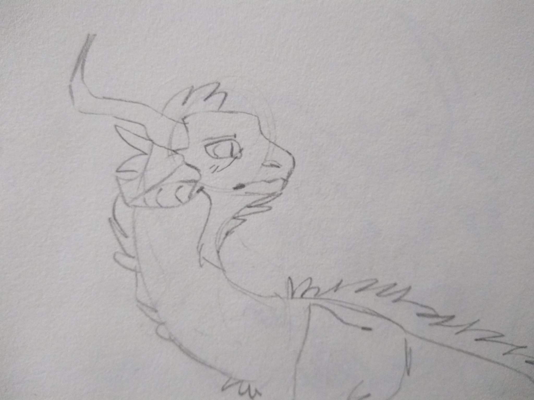 Sketches Wings Of Fire Amino