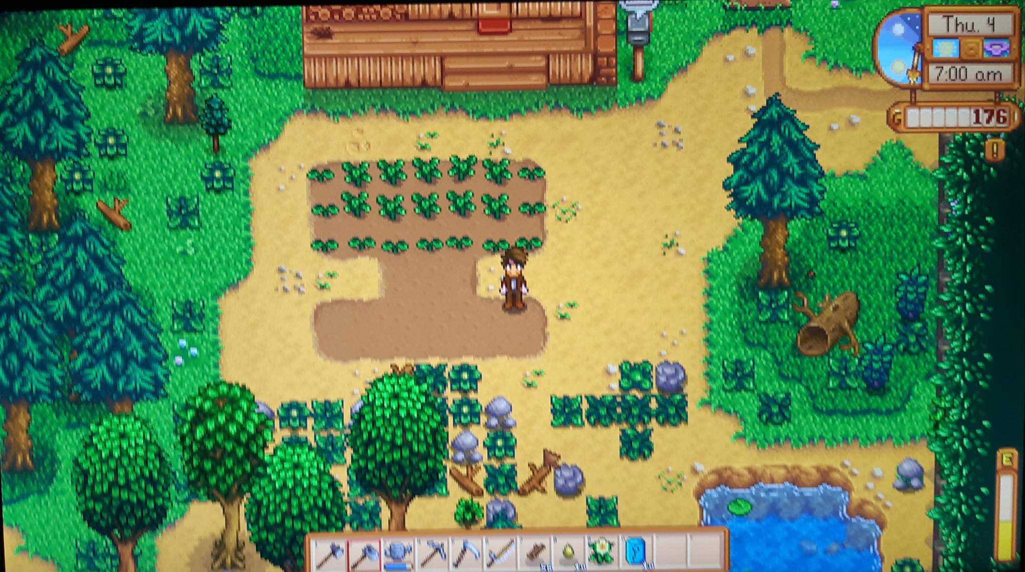 Stardew Experience Stardew Valley Amino