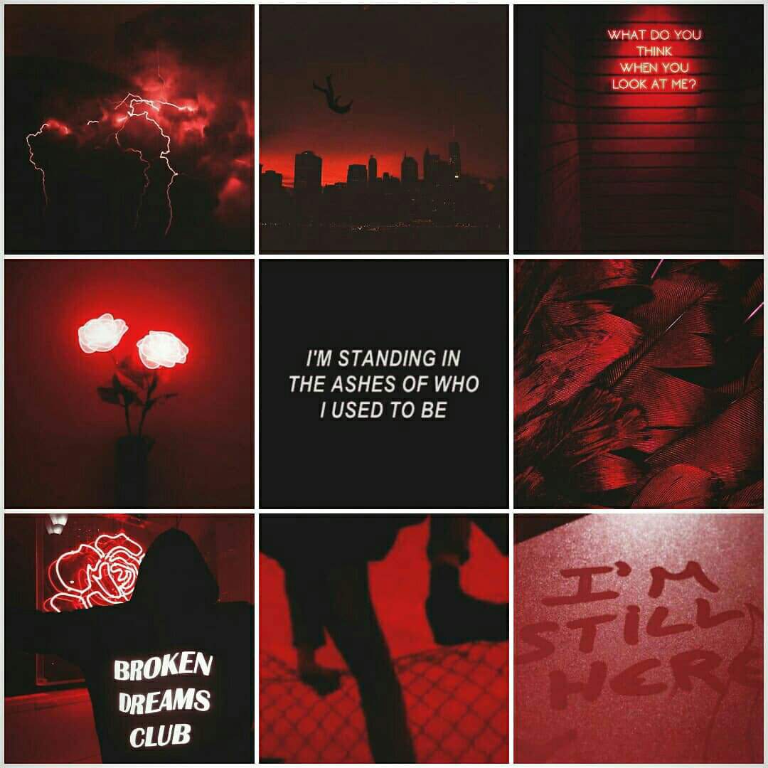 Moodboard {hawks} 