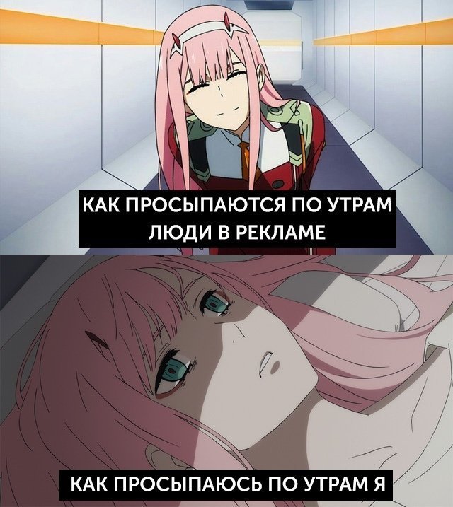 Мемы аниме #2 | Аниме Amino Amino