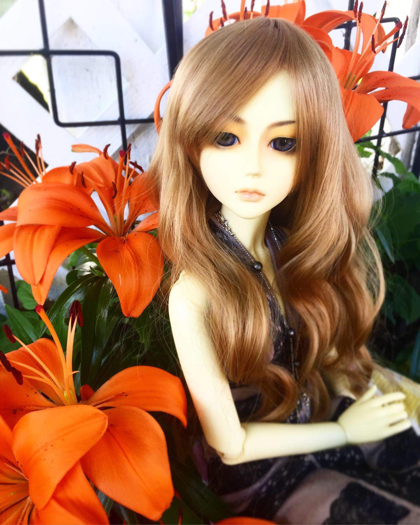 annabelle-s-personality-bjd-amino-amino