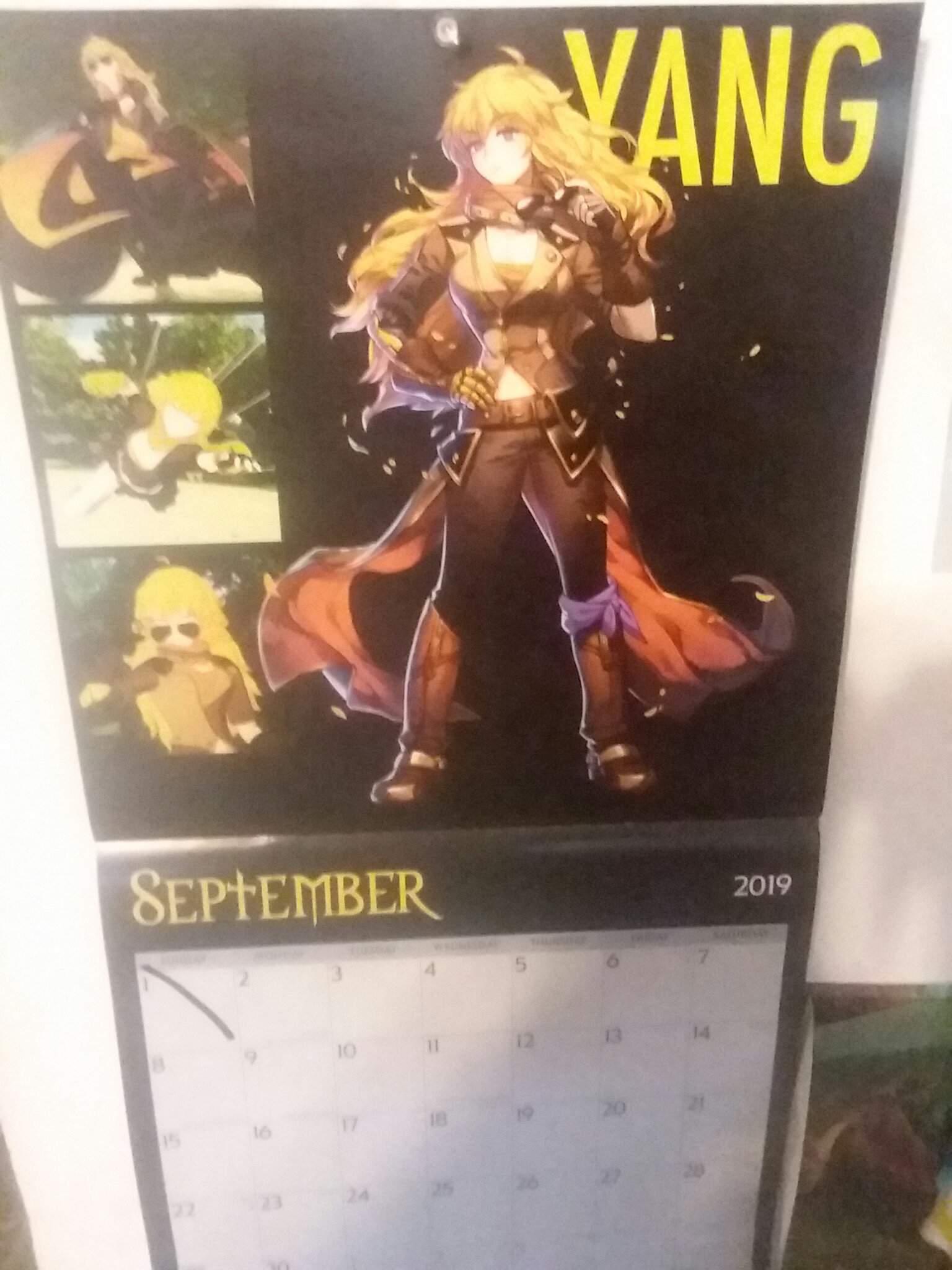 According to my calendar, It's Yang Month! RWBY Amino