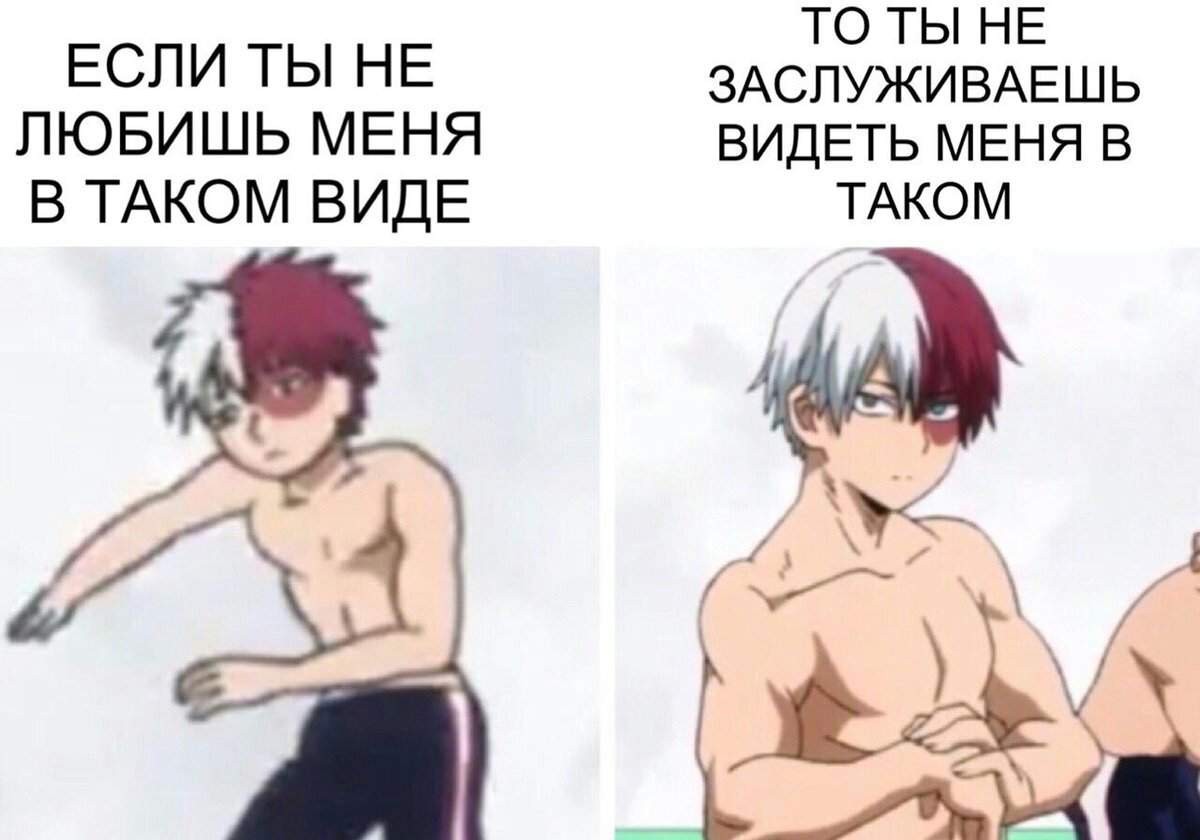 Shoto todoroki meme