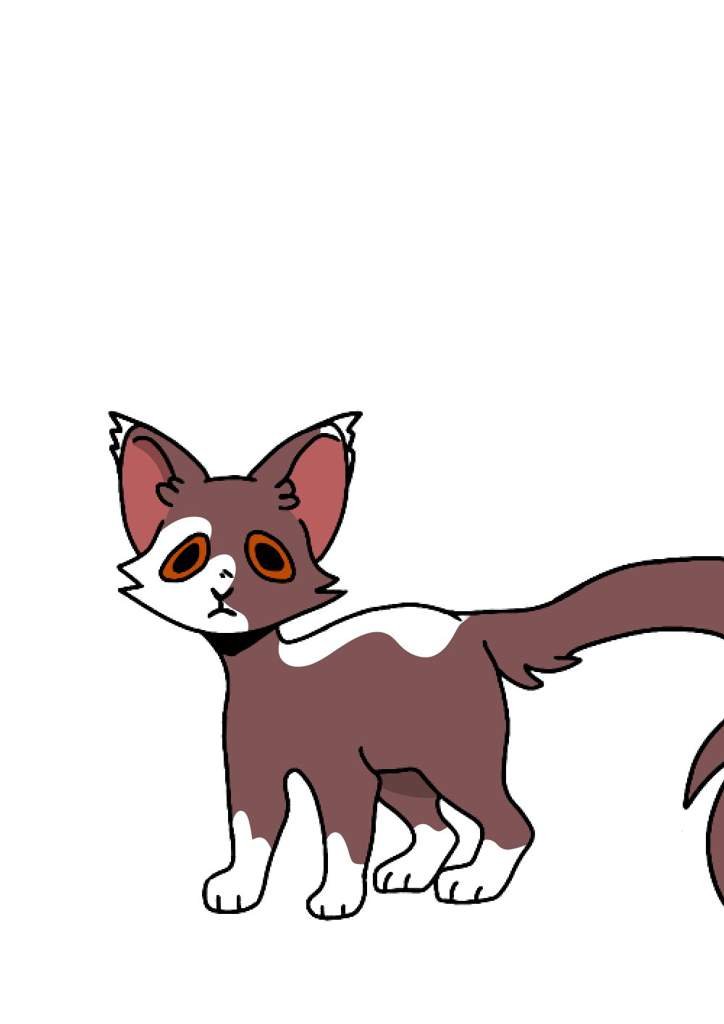 Анкета в деревню | Wiki | ♡•Коты-Воители•♡ Amino