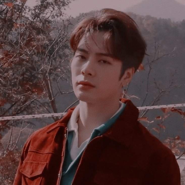 Aesthetics Fridays | Jackson Wang Amino