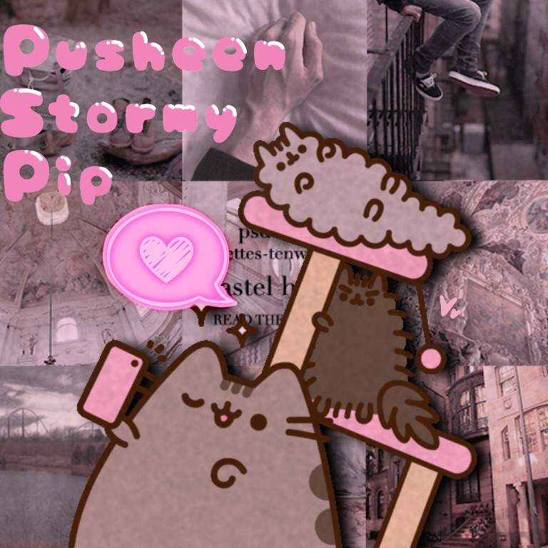 19 inch pusheen