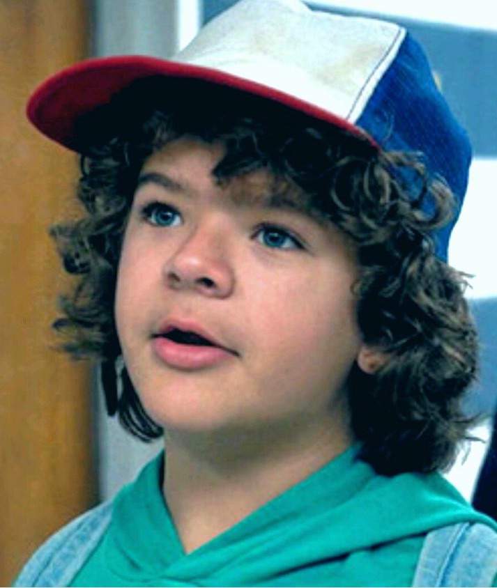 𝘿𝙪𝙨𝙩𝙞𝙣 𝙃𝙚𝙣𝙙𝙚𝙧𝙨𝙤𝙣 | Wiki | Stranger Things Amino