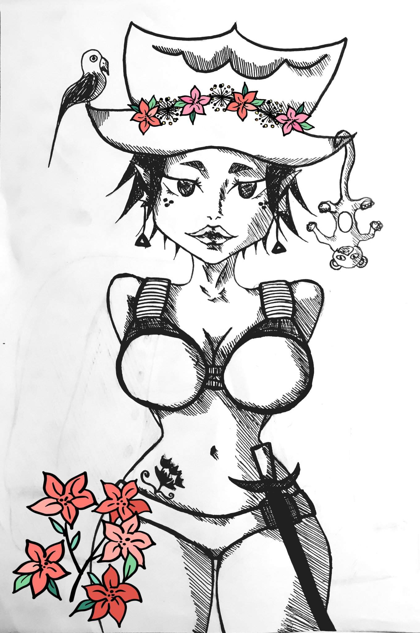 Erotic pirate drawing