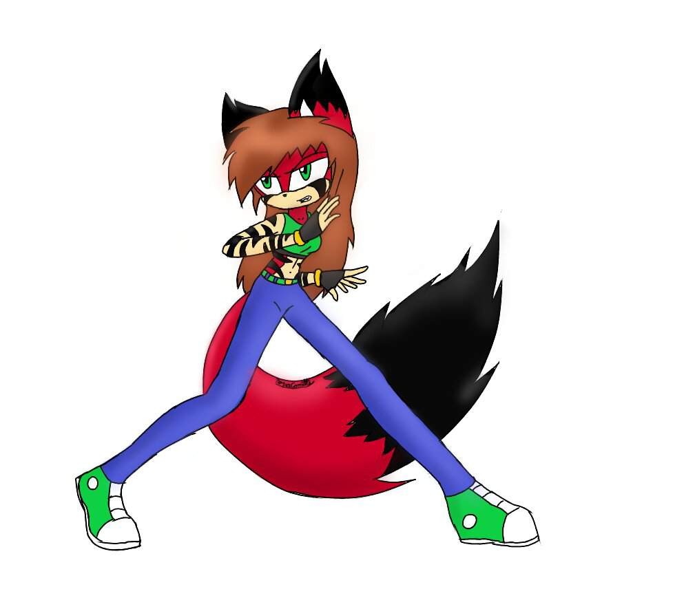 Nova the Fox Wiki Sonic Oc Brawl Amino.