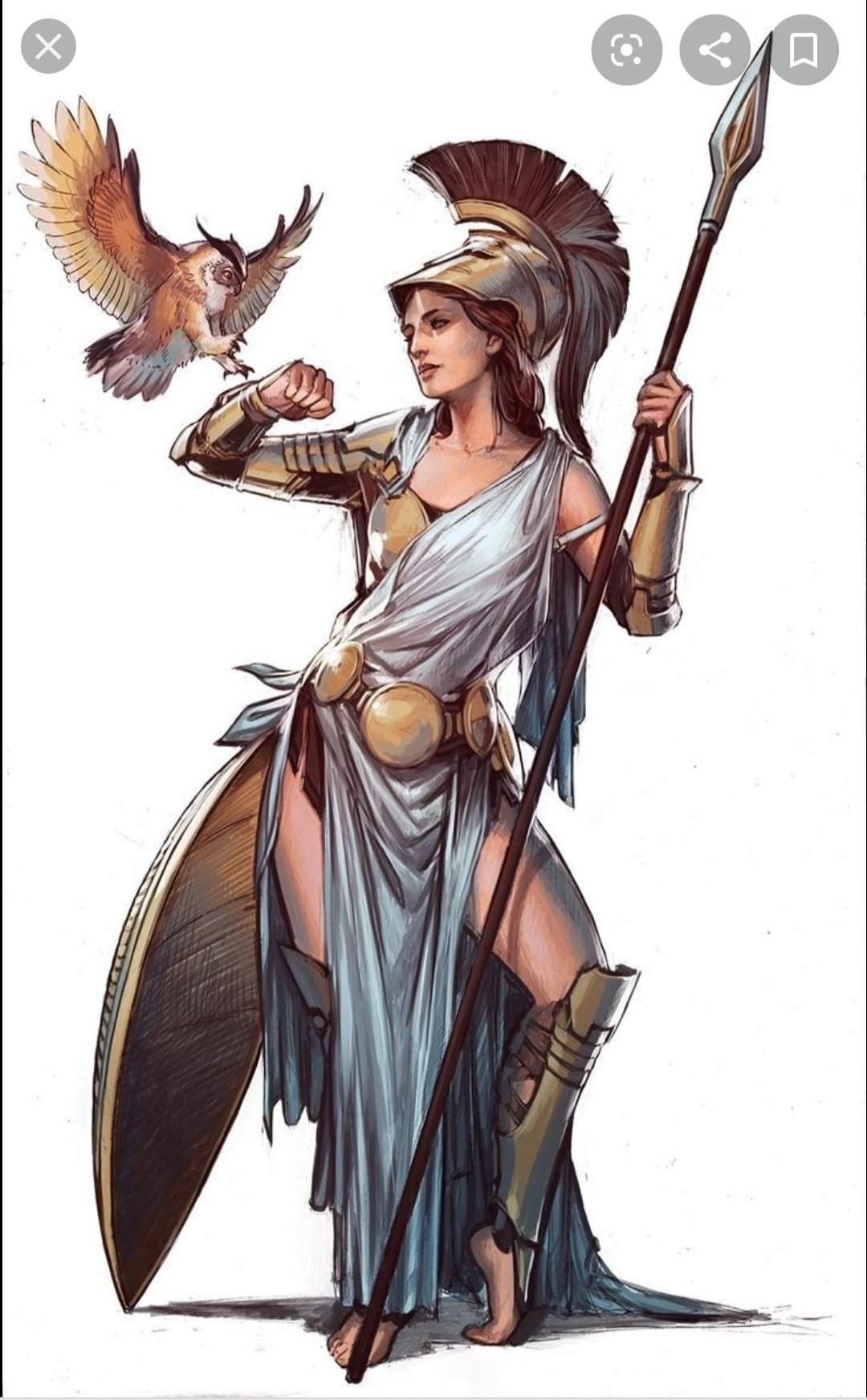 Athena Wiki Mythology Demigods Amino 2973