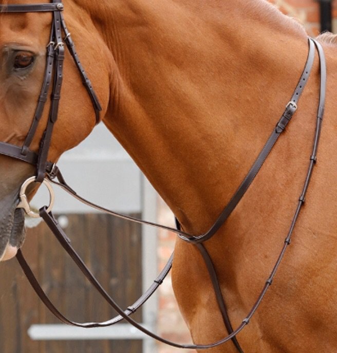 𝓣𝓱𝓮 𝓢𝓽𝓪𝓷𝓭𝓲𝓷𝓰 𝓿𝓼. 𝓡𝓾𝓷𝓷𝓲𝓷𝓰 𝓜𝓪𝓻𝓽𝓲𝓷𝓰𝓪𝓵𝓮 Equestrian Amino