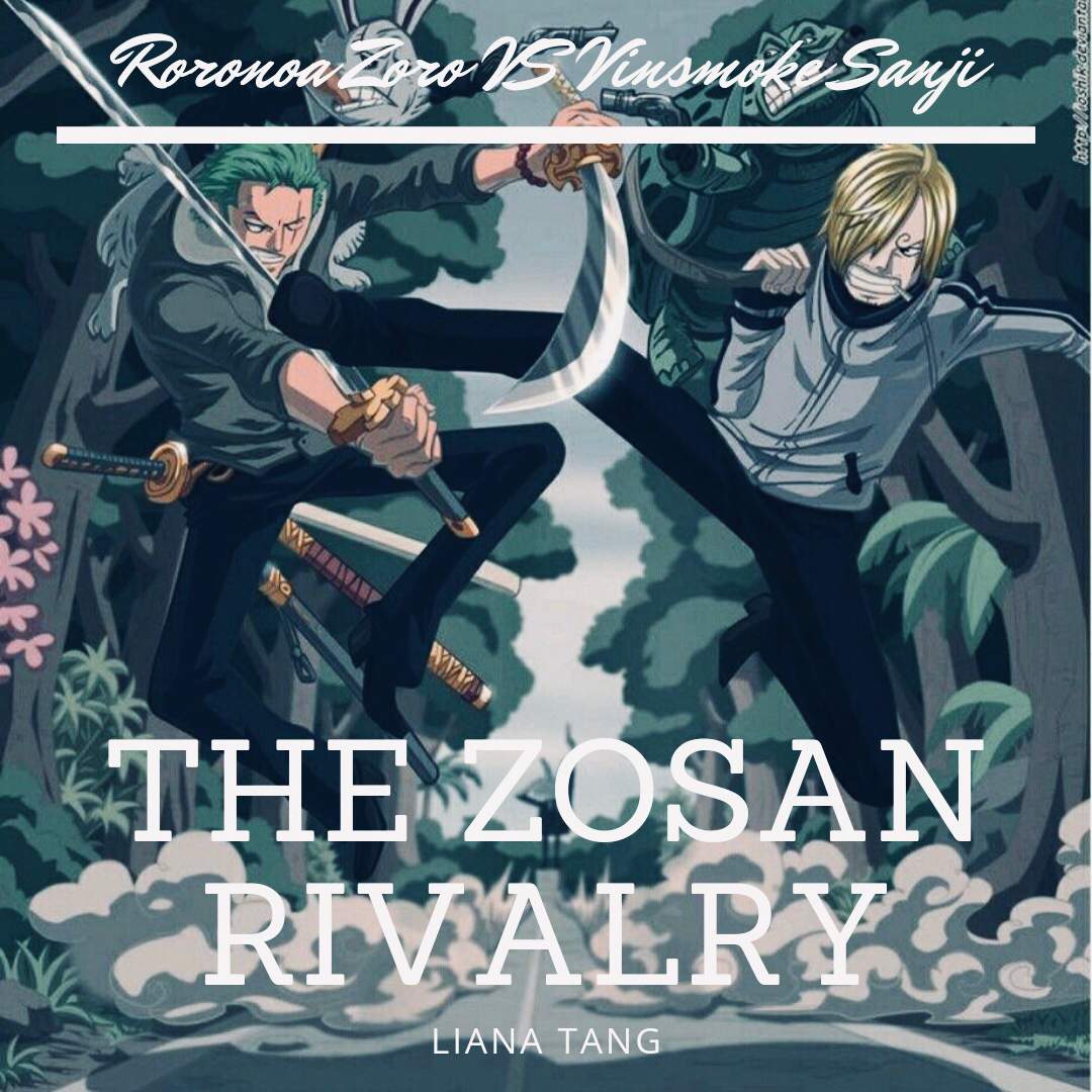 The ZoSan Rivalry: Roronoa Zoro VS Vinsmoke Sanji | One Piece Amino