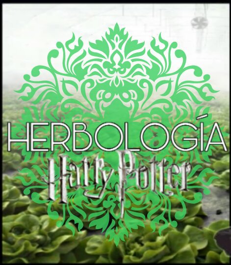 Herbolog A Parte Harry Potter Espa Ol Amino