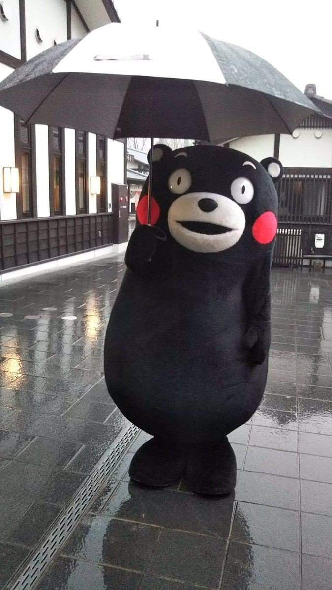 kumamon plushie