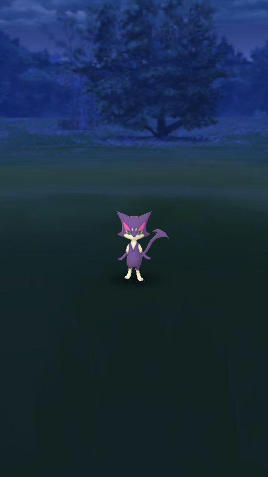 earned a unova badge already!