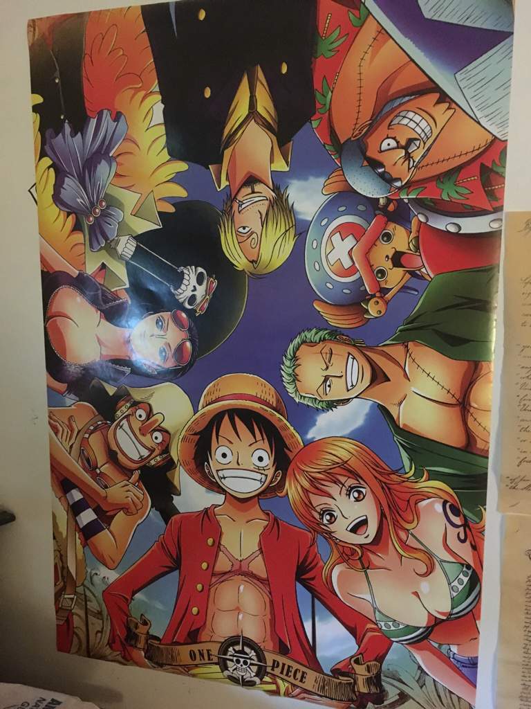 I Bought This When I Was On Vacation And I Thought I D Share It With Everyone Here One Piece Amino