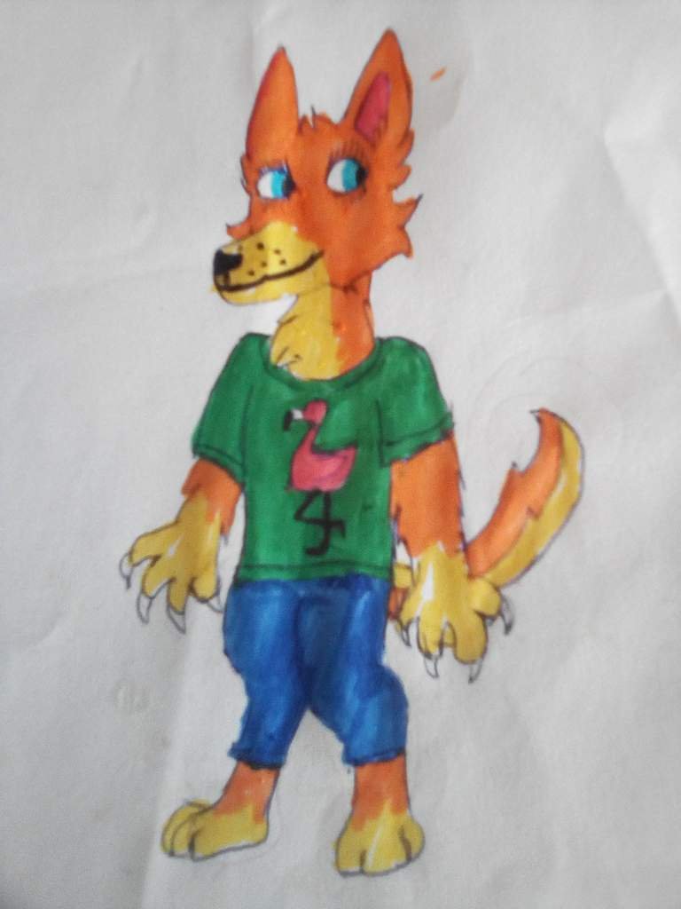 Анкета | Wiki | 🦊Фурри🐺 Amino
