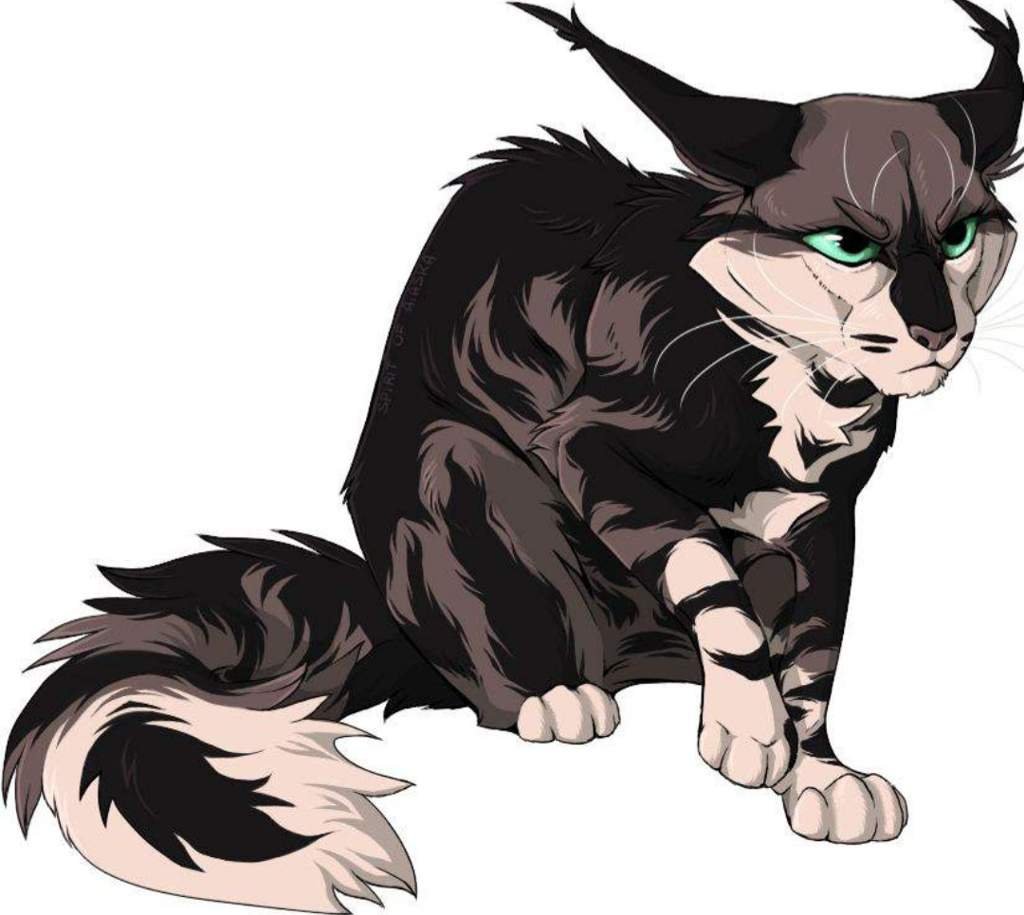 Змеелап | Wiki | ♡•Коты-Воители•♡ Amino