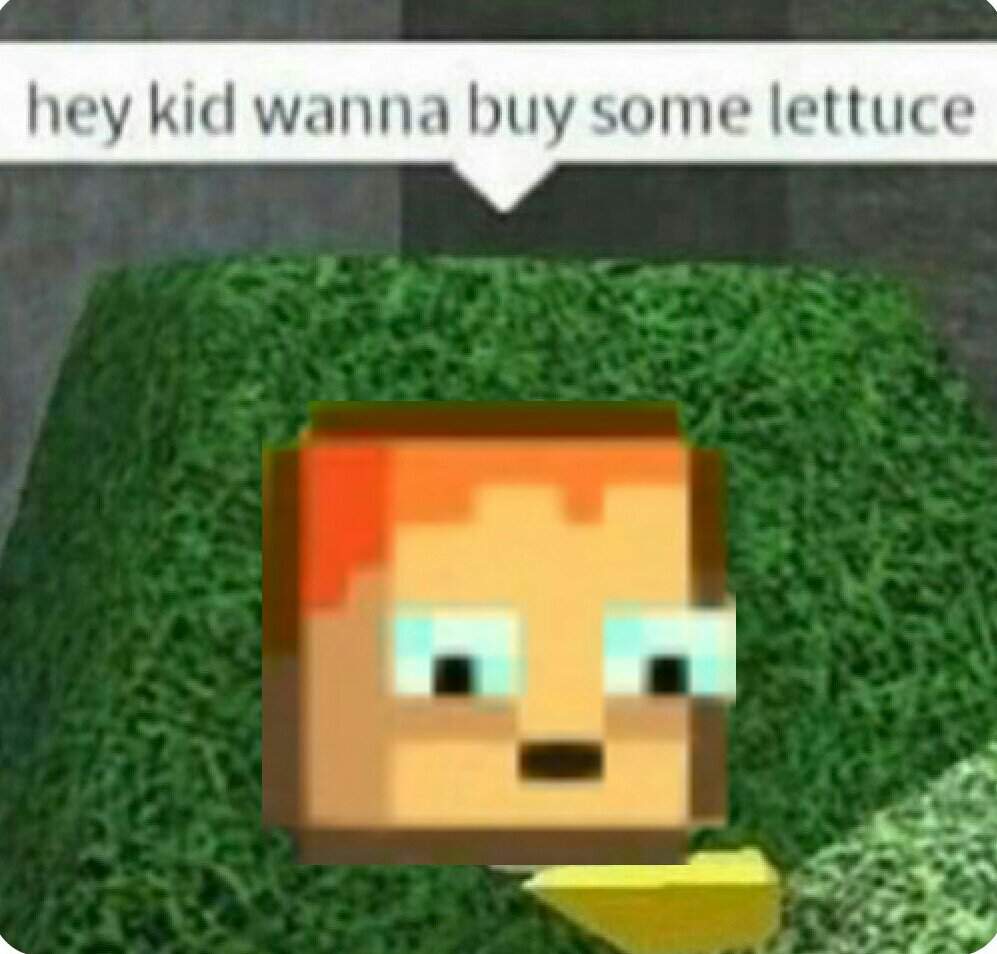 Hey Kid You Wanna Buy Some Lettuce