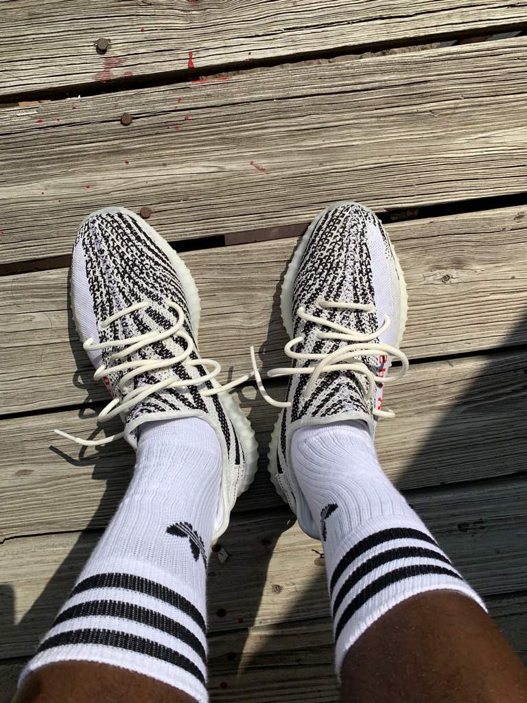 Yeezy Zebra on Feet! 🦓🦓🦓 | Sneakerheads 