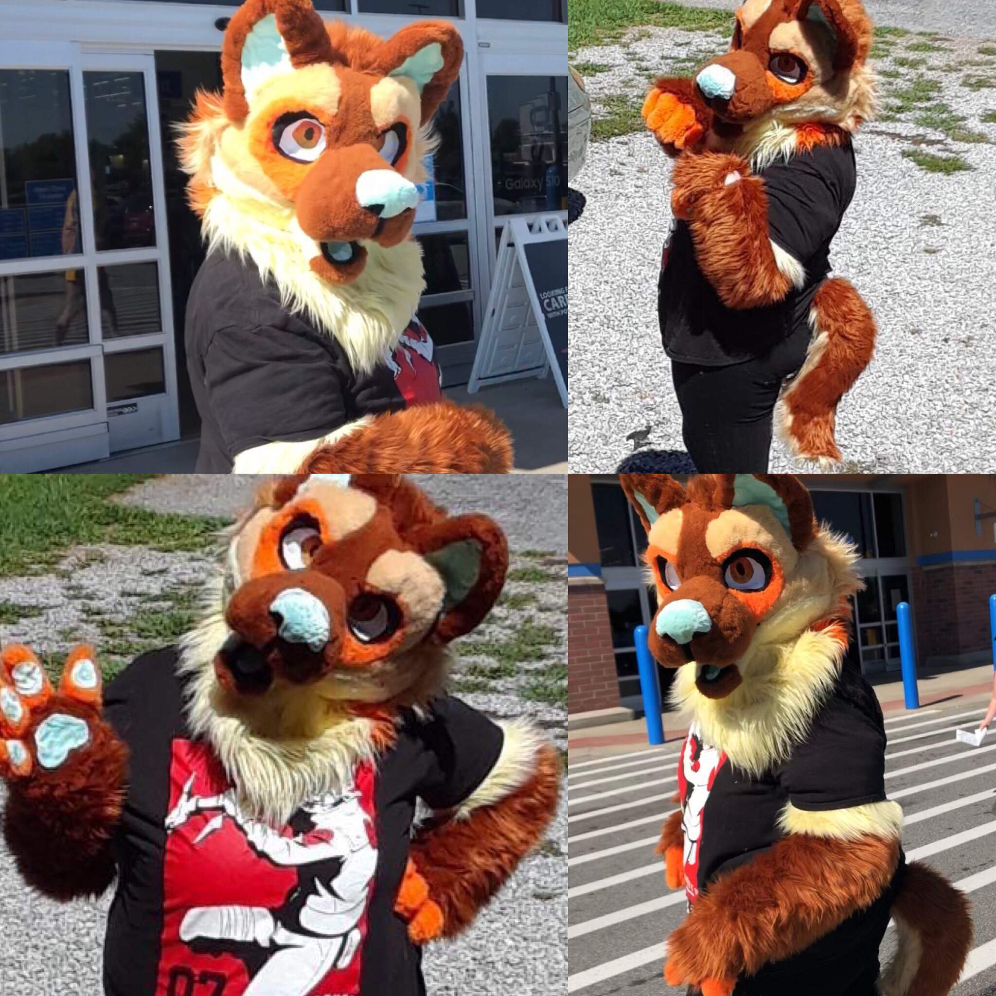 Akita | Fursuit Maker Amino Amino