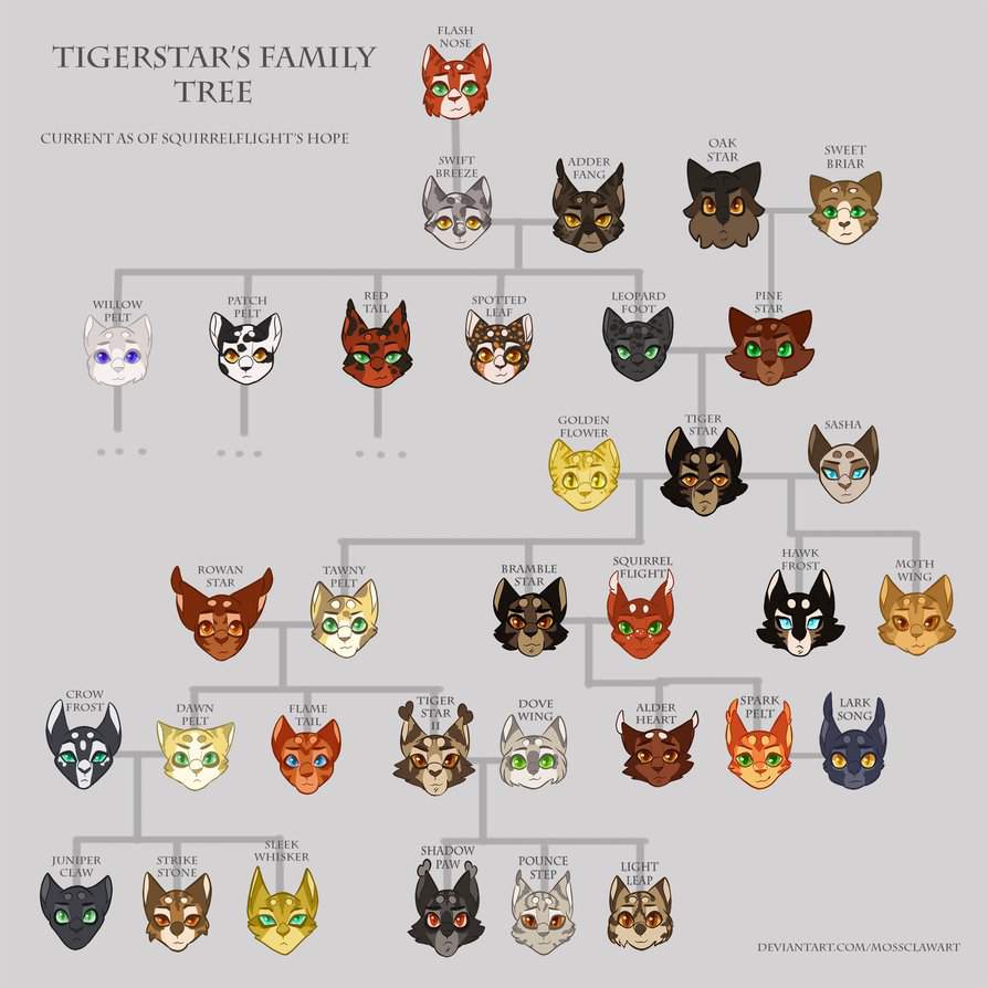 Ancestry Of Tigerstar Warriors Amino