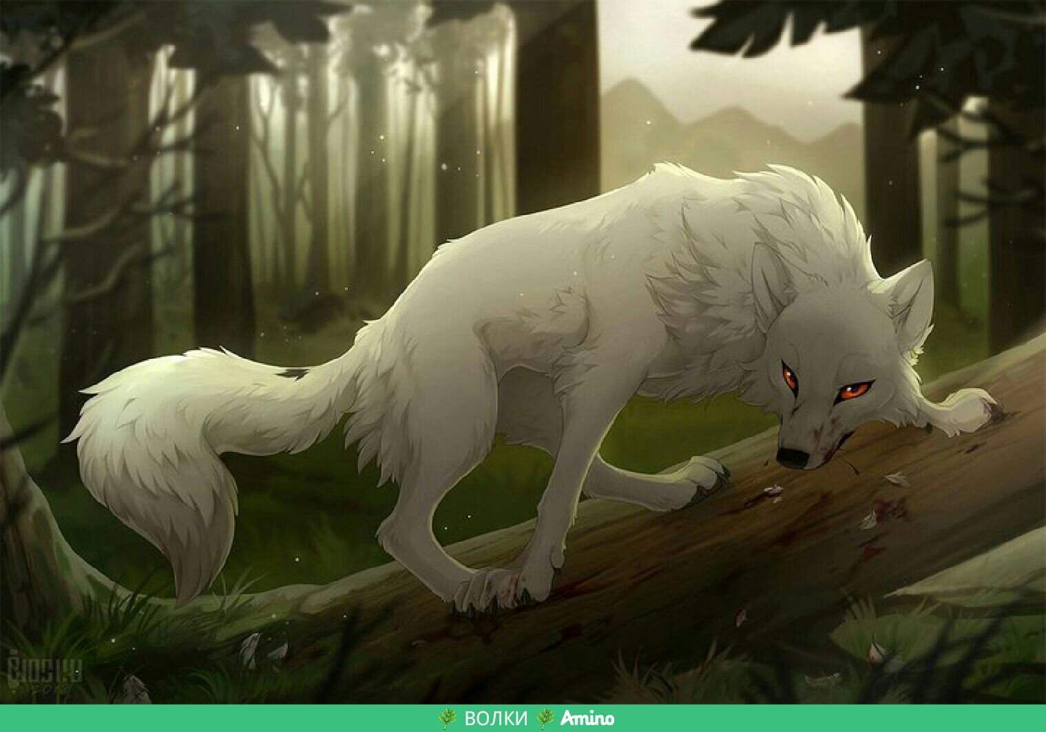 Hioshiru волк
