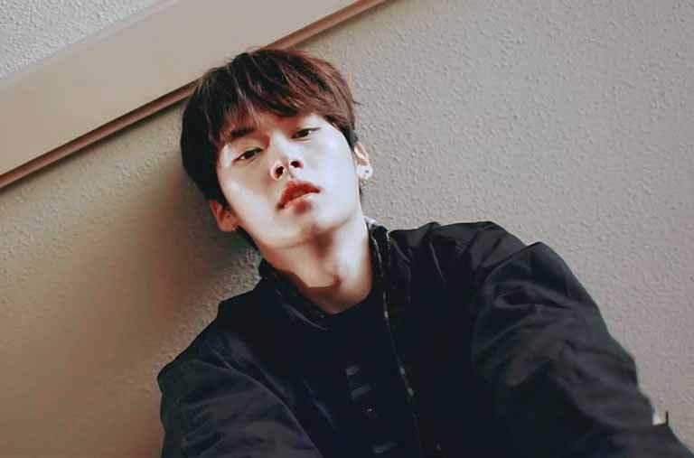 Lee Minho Stray Kids