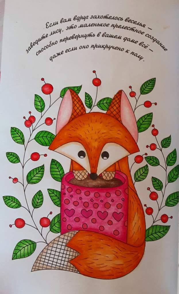 Лисичка | Раскраски антистресс Amino