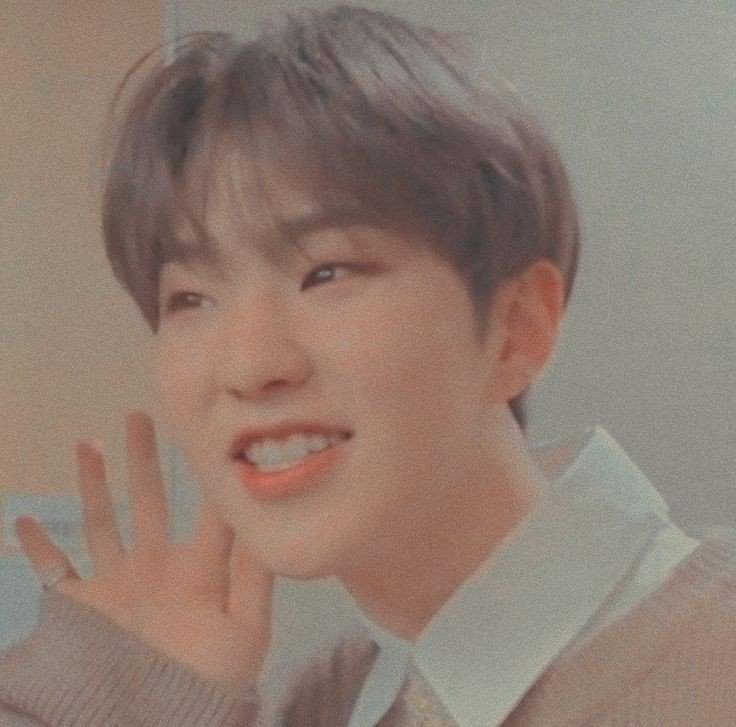 Hoshi Wiki Carat Amino