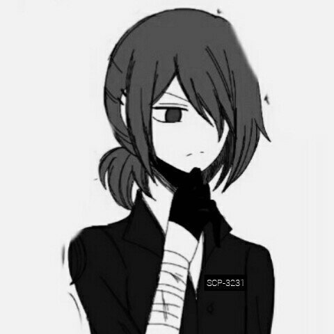 SCP-5671-N | Wiki | Scp-the breach Amino