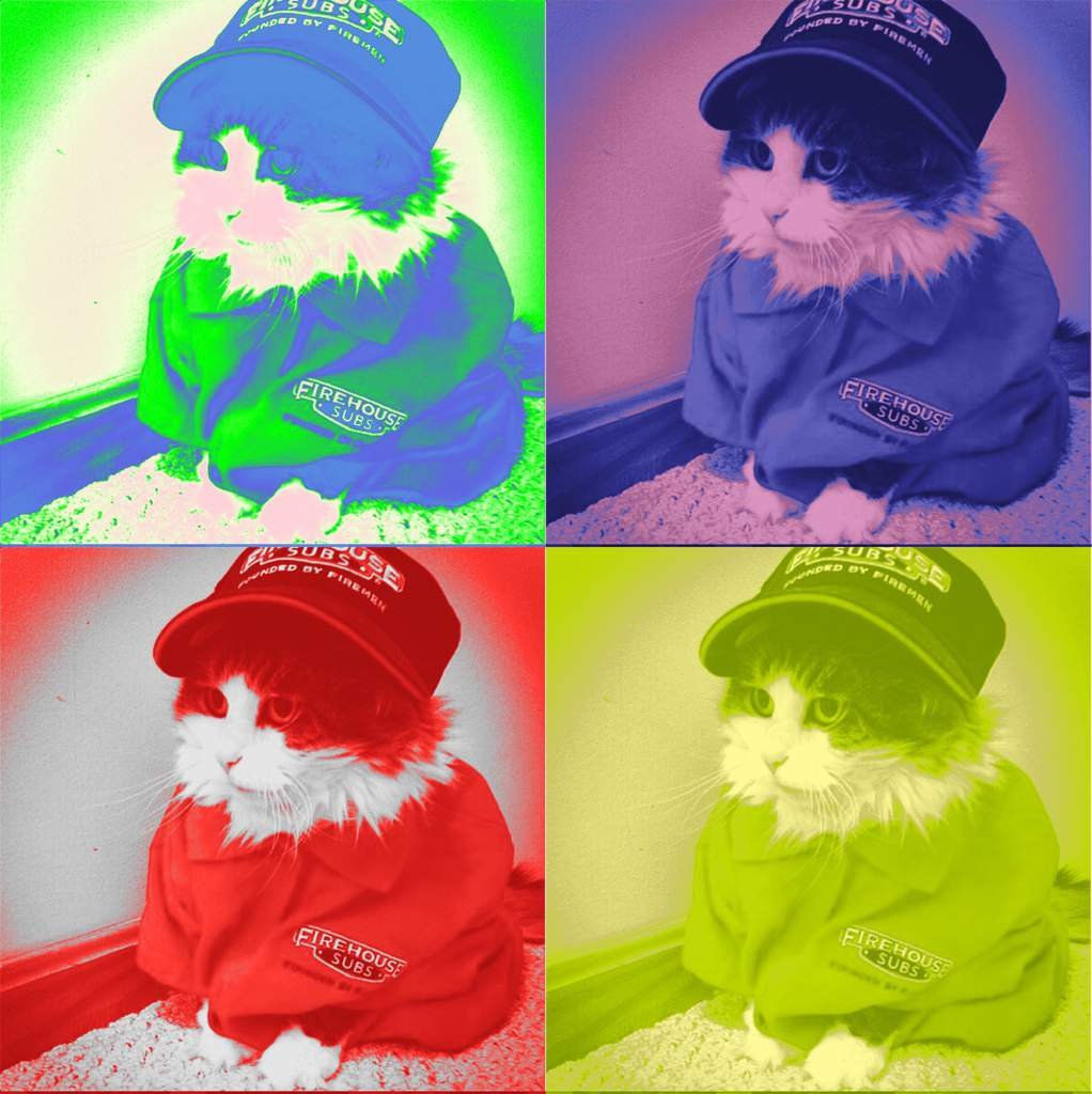 Digital Paint (iPad) Wiki SketchPad Pro Amino