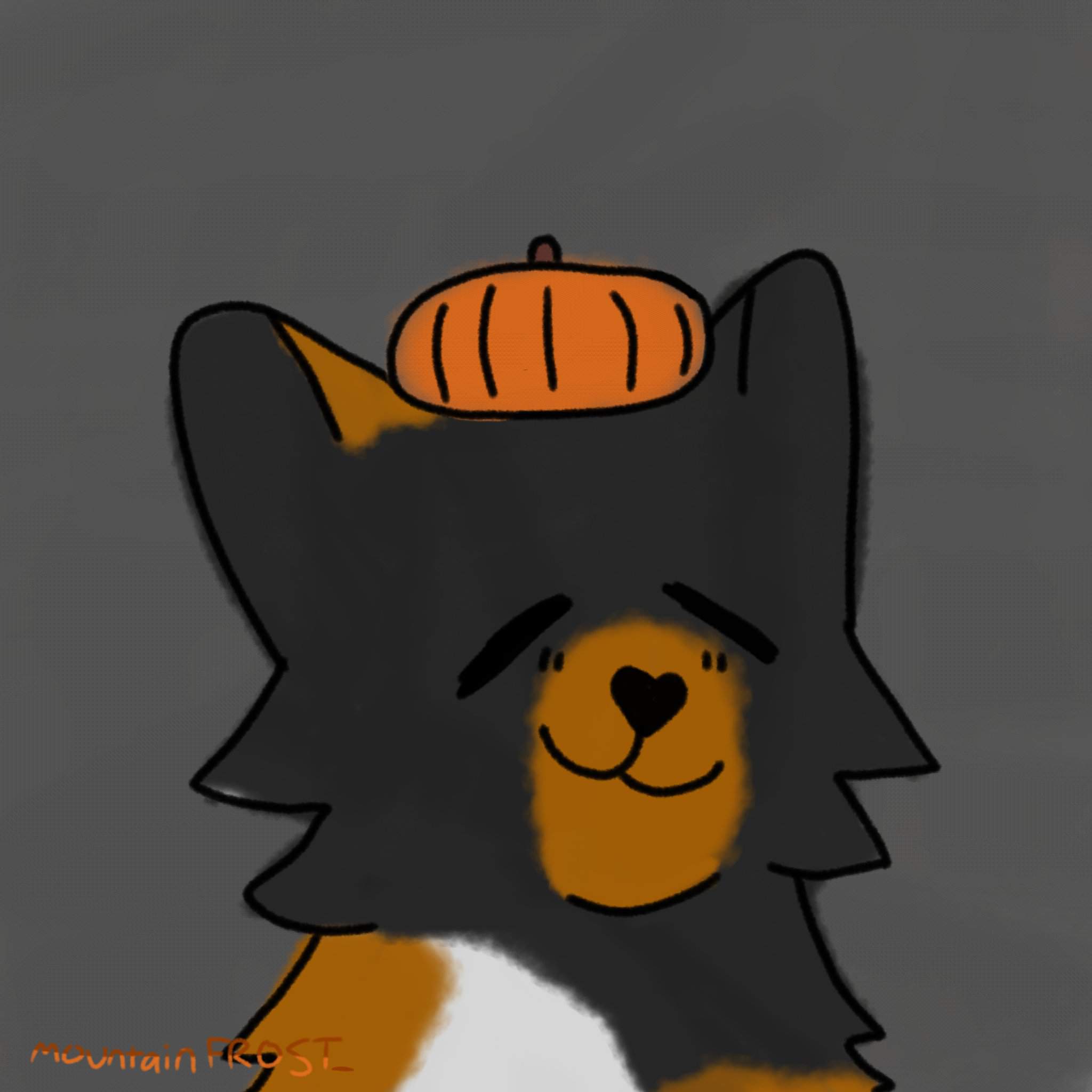 Halloween mnt. Pfp Warrior Cats Amino Amino