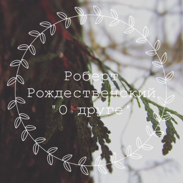 О друге | Писатели 📚 Amino